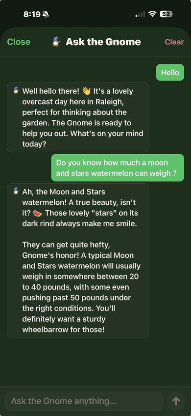 Ask my Gnomie chat showing a conversation about Moon and Stars watermelon weight